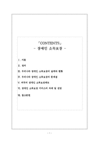 [사회복지] 장애인 소득보장 서비스의 과제 및 전망-2