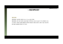 [한국행정론] 한국행정개혁의 현재와 미래-신공공관리를 중심으로-4