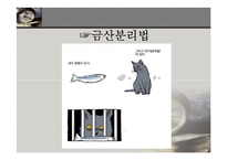 [정책학] 금산분리완화법 찬반 논란-4