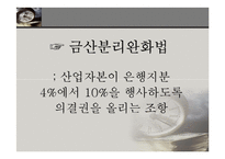 [정책학] 금산분리완화법 찬반 논란-5