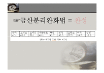 [정책학] 금산분리완화법 찬반 논란-9