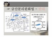 [정책학] 금산분리완화법 찬반 논란-12