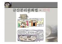 [정책학] 금산분리완화법 찬반 논란-13
