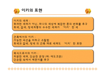 [일본문화] 일본의 미-이키, 와비와 사비, 선-6