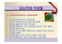 [식품미생물학] 와인과 미생물-포도주와 미생물-11