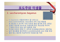 [식품미생물학] 와인과 미생물-포도주와 미생물-13