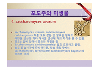 [식품미생물학] 와인과 미생물-포도주와 미생물-14