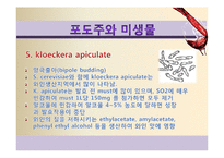 [식품미생물학] 와인과 미생물-포도주와 미생물-15
