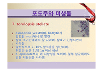 [식품미생물학] 와인과 미생물-포도주와 미생물-16
