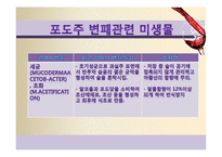 [식품미생물학] 와인과 미생물-포도주와 미생물-18