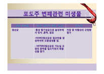 [식품미생물학] 와인과 미생물-포도주와 미생물-19
