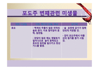 [식품미생물학] 와인과 미생물-포도주와 미생물-20