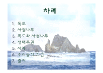 [생태학] 독도사철나무와 생태주권-2