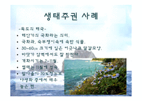 [생태학] 독도사철나무와 생태주권-17