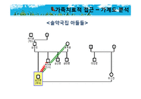 [가족복지] Bowen 다세대 가족치료로 본 3세대 가족치료-드라마 `솔약국집 아들들`, `소문난 칠공주`, `욕망의 불꽃`-14