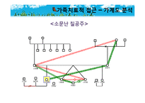 [가족복지] Bowen 다세대 가족치료로 본 3세대 가족치료-드라마 `솔약국집 아들들`, `소문난 칠공주`, `욕망의 불꽃`-15