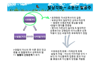 [가족복지] Bowen 다세대 가족치료로 본 3세대 가족치료-드라마 `솔약국집 아들들`, `소문난 칠공주`, `욕망의 불꽃`-18