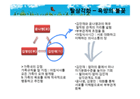 [가족복지] Bowen 다세대 가족치료로 본 3세대 가족치료-드라마 `솔약국집 아들들`, `소문난 칠공주`, `욕망의 불꽃`-19
