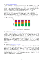 SNS(Social Network Service)를 통한 국내 소셜커머스의 문제점 및 향후 발전방향-19
