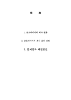 금호타이어 현황 및 구조와 노사간의 갈등과 해결방안 조사분석-2