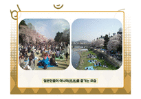 [파워포인트] 일본의 연중행사(일본 전통연중행사, 현대연중행사)-19