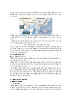 북,중 경협과 남북관계를 위한 한국의 대응전략 조사분석-9