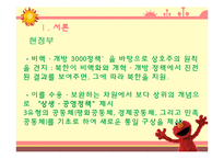 역대 대통령들의 통일 대북 정책 조사분-3