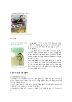 패션 일러스트레이션 재료에 따른 표현기법, 이미지에 따른 표현방법 분류-10