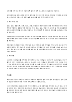루마니아의 역사와 사회 및 경제와 정치 총체적 조사분석-14