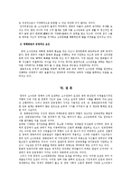 중국의 소수민족정책의 특징과 긍정적 부정적 요인 분석 및 개혁개방정책 조사분석-15