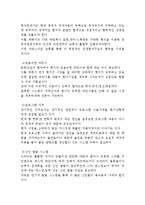 중국의 한류영향의 배경 및 특징과 지속적인 한류열풍 방법 조사분석-13