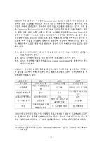 한국과 칠레의 FTA 평가와 대응전략 및 AFTA(Asean Free Trade Area) 조사분석-15