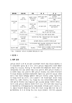 한국과 칠레의 FTA 평가와 대응전략 및 AFTA(Asean Free Trade Area) 조사분석-20