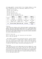 코카콜라와 펩시콜라SWOT 분석과 STP 전략 및 4P-8