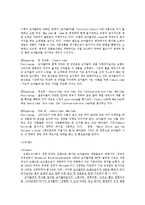 코카콜라와 펩시콜라SWOT 분석과 STP 전략 및 4P-9