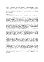 코카콜라와 펩시콜라SWOT 분석과 STP 전략 및 4P-15