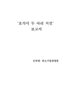 중소기업론-호식이두마리치킨 프랜차이즈 분석 및 브랜드전략-1