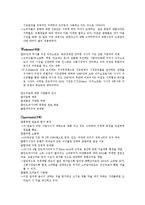 한국기업 미원의 해외시장진출 성공사례0k-5