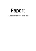 노르웨이 테러사건에 대하여 분석 및 고찰-1