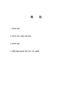 예수의 탄생 및 어린시절과 성장배경 및 부활과 관련하여 여러 가지 논쟁들 조사분석-2