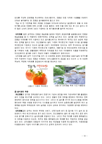 조선호텔과 신라호텔의 친환경마케팅, 그린경영, 친환경경영, 그린마케팅 조사 최종보고서-16