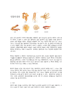 인삼의 효능과 인삼세계화를 위한 경쟁력 확보방안0k-3