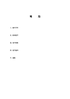 기러기아빠 현상 원인분석 및 분거가족 결정과 유지경험 조사분석-2