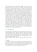 [디자인 경영] 디자인 경영의 개념, 필요성 및 효율적인 경영방안-3