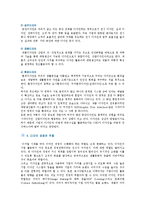 [디자인 경영] 디자인 경영의 개념, 필요성 및 효율적인 경영방안-4
