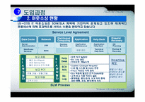 IT아웃소싱의 도입배경과 특징 및 LG OTIS,풀무원,한국화장품의 적용사례 조사분석-12