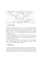 보웬의 가족치료-9