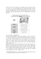 지역주의적 다양성과 현대건축-8