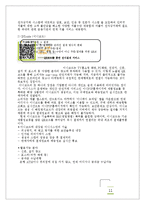 [E비즈니스] 간편결제시스템 INICIS의 사업분석 및 개선점 제안-11