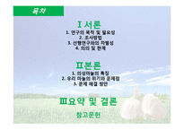 [국제경쟁력] 의성 마늘의 경쟁력 재고방안-2